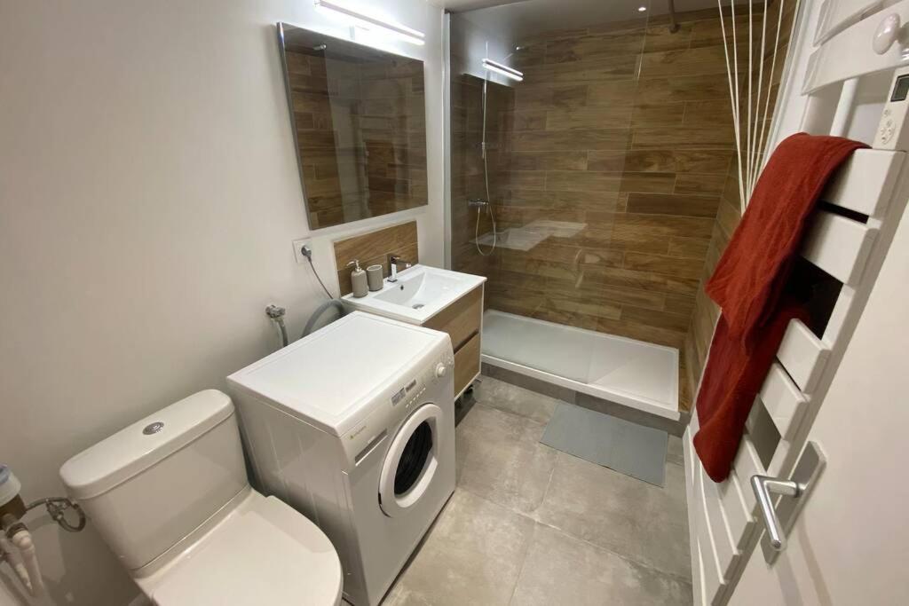 Place De Metz, Hyper-Centre Grenoble, Studio 25 M2 Exteriör bild